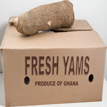 Fresh-Yam-20kg Carton
