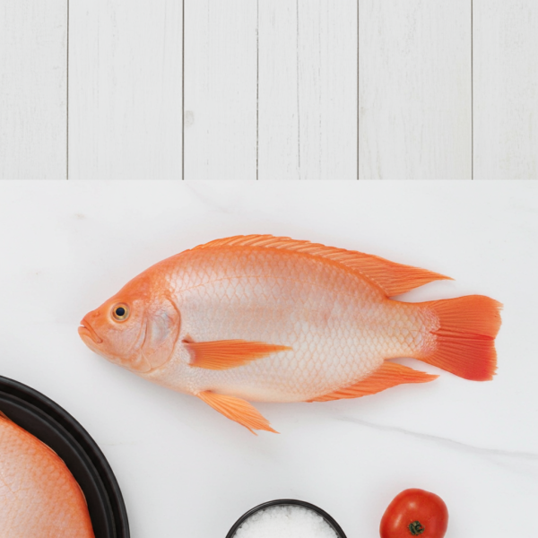 Tilapia-Fisch - Rot 4kg